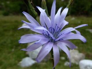Img.VTax3368.ExN.Img22