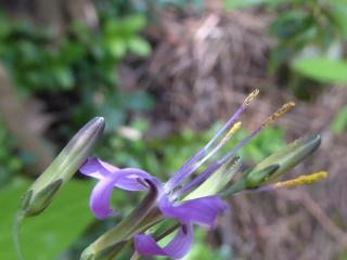 Img.VTax3369.ExN.Img18