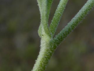 Img.VTax3403.ExN.Img29
