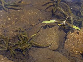 Img.VTax3489.ExN.Img3