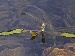 Img.VTax3489.ExN.Img4