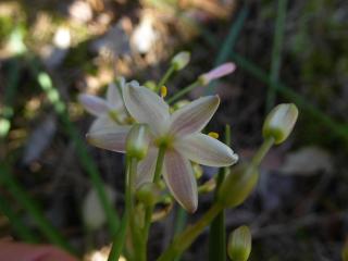 Img.VTax3518.ExN.Img15