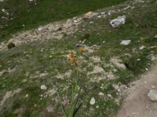 Img.VTax3683.ExN.Img9