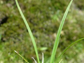 Img.VTax3778.ExN.Img10
