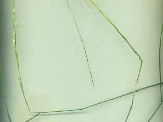 Img.VTax4122.ExN.Img3