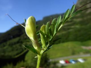 Img.VTax644.ExN.Img8