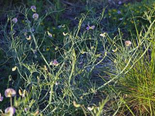 Img.VTax681.ExN.Img16