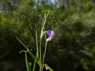Img.VTax687.ExN.Img17
