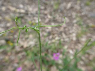 Img.VTax693.ExN.Img23