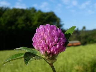 Img.VTax818.ExN.Img31