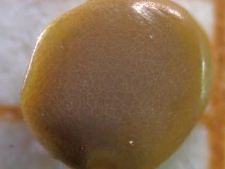 Img.VTax826.ExN.Img17