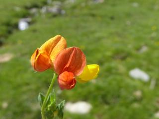 Img.VTax840.ExN.Img12