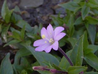 Img.VTax911.ExN.Img10