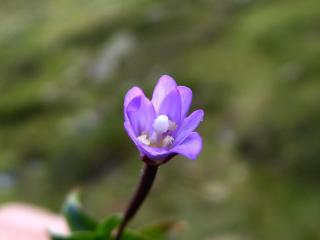 Img.VTax911.ExN.Img11