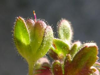 VTax2674.ExN_.Img3_.jpg
