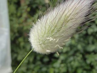 VTax4038.ExN_.Img10.jpg