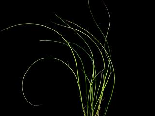 VTax4102.ExN_.Img5_.jpg