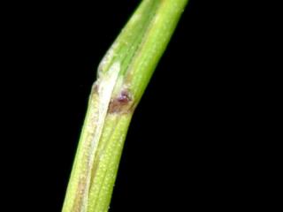 VTax4102.ExN_.Img7_.jpg
