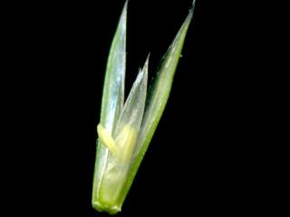 VTax4102.ExN_.Img8_.jpg