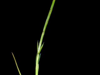 VTax4102.ExN_.Img9_.jpg