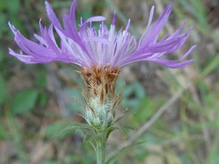 VTax4766.Ex1_.Img5_.jpg