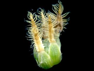 VTax4766.Ex2_.Img3__0.jpg