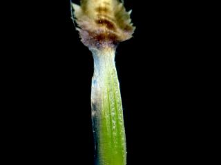 VTax4766.Ex2_.Img7_.jpg