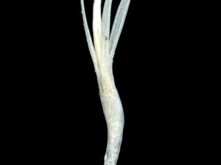 VTax4766.Ex2_.Img9_.jpg