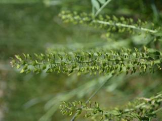 VTax1128.Ex1.Img6
