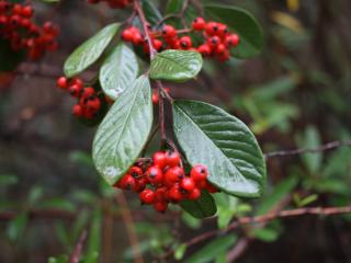 VTax4768.Ex1_.Img1_.JPG