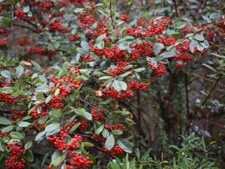 VTax4768.Ex1_.Img2_.JPG