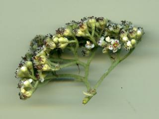 VTax4768.Ex1_.Img3_.jpg