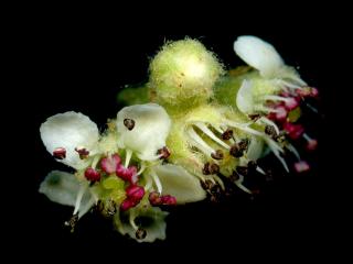 VTax4768.Ex1_.Img6_.jpg