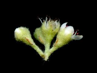 VTax4768.Ex1_.Img7_.jpg