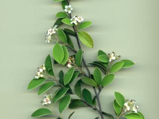 VTax4769.Ex1_.Img13.jpg