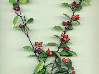 VTax4769.Ex1_.Img5_.jpg