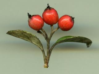 VTax4769.Ex1_.Img6_.jpg