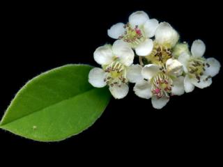 VTax4769.Ex1_.Img7_.jpg