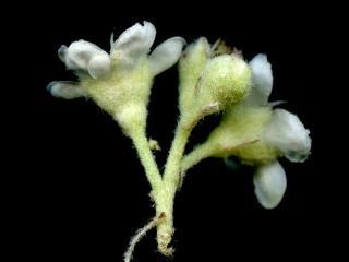 VTax4769.Ex1_.Img8_.jpg