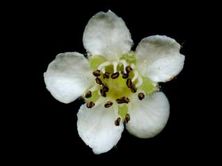 VTax4769.Ex1_.Img9_.jpg