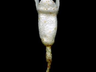 VTax4770.Ex1_.Img2_.jpg