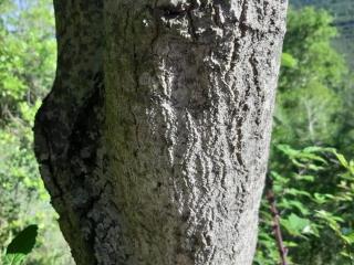VTax1664.Ex1_.Img1_.jpg