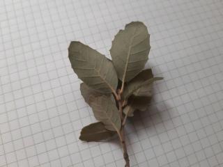 VTax1664.Ex1_.Img5_.jpg