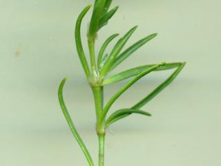 VTax1978.Ex1_.Img8_.jpg