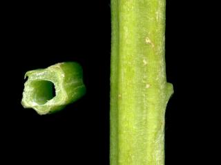 VTax2546.Ex1_.Img17.jpg