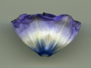 VTax2546.Ex1_.Img22.jpg