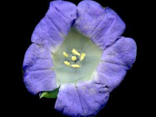 VTax2546.Ex1_.Img2_.jpg