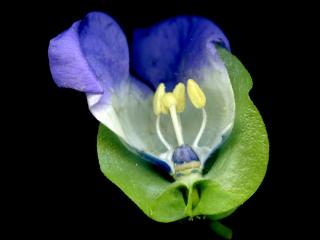 VTax2546.Ex1_.Img8_.jpg