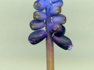 VTax3561.Ex1_.Img3_.jpg