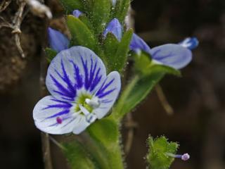 VTax4765.Ex1_.Img1_.JPG